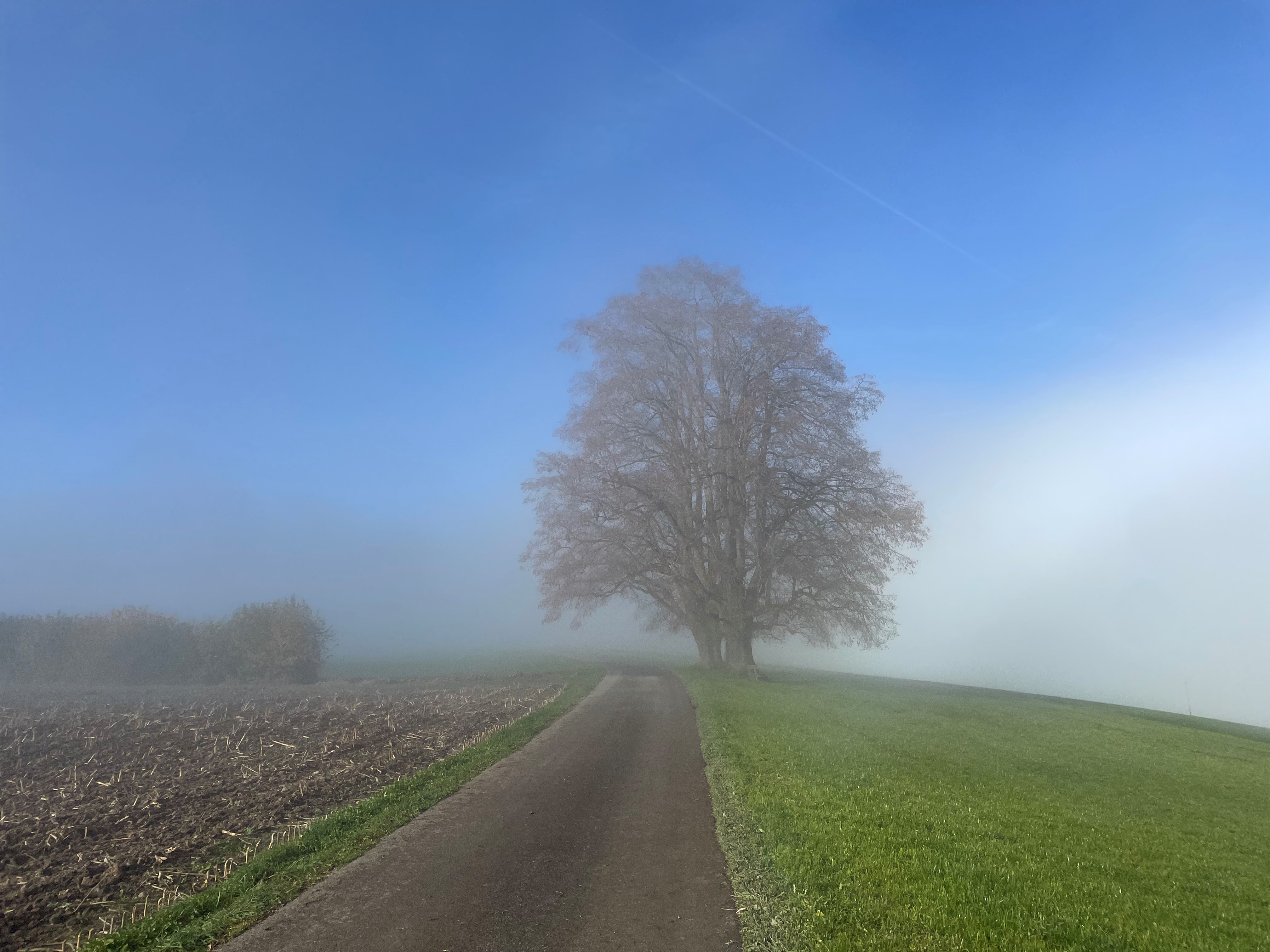 Nebelgrenze auf dem Ruswiler Berg  | Emmanuel Hüsler 