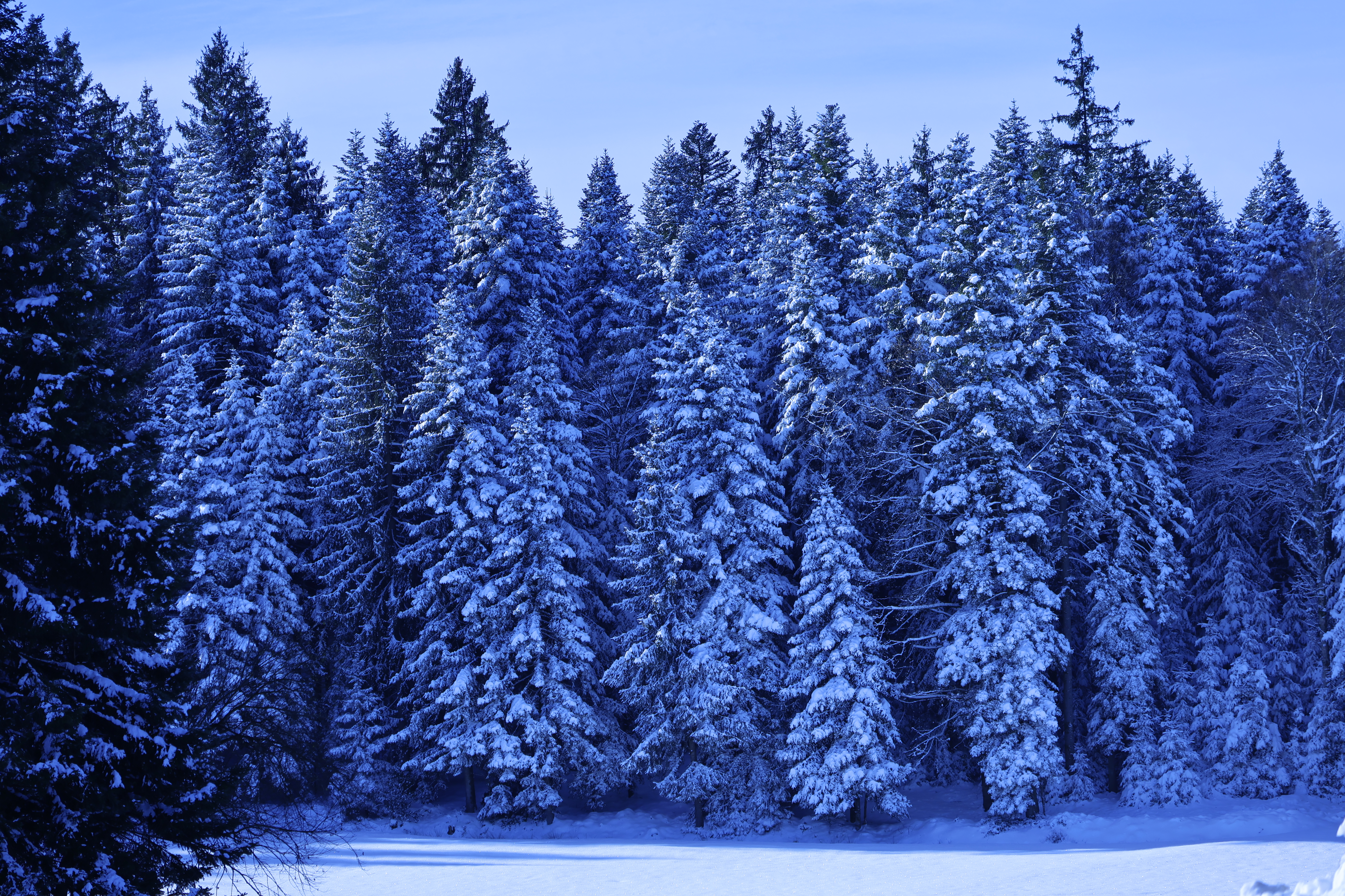 Winterimpression | René Grüter