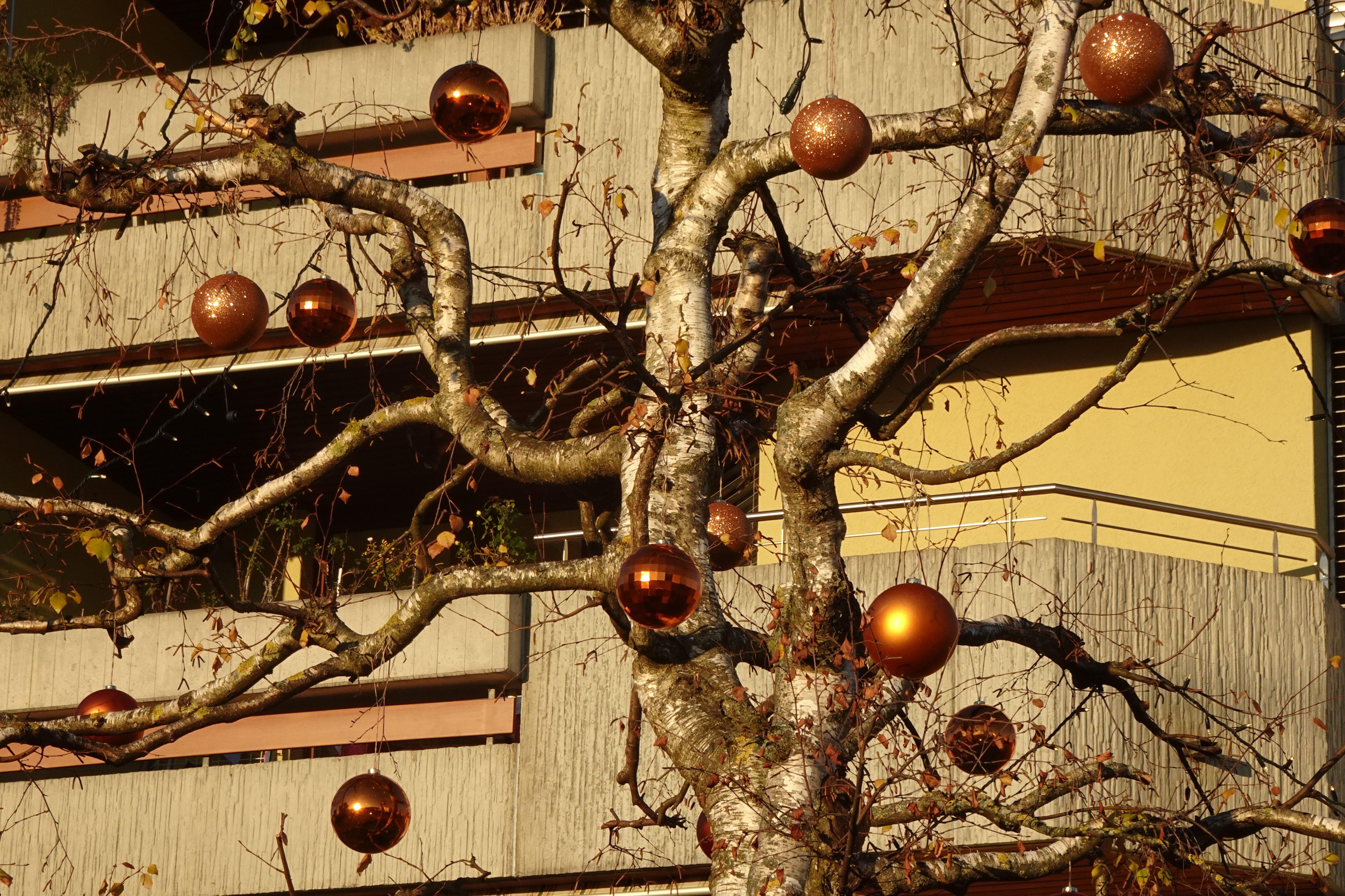 Weihnachtsschmuck «der anderen Art», entlang der Wolhuserstrasse in Ruswil | Urs Amrein, Ruswil 