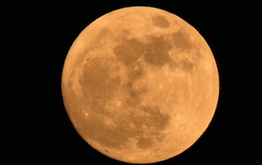 Der Mai-Vollmond wird Mikro-Blumenmond genannt, weil er mit der Blütenpracht des Monats in Verbindung steht. | Josef Lustenberger, Wolhusen