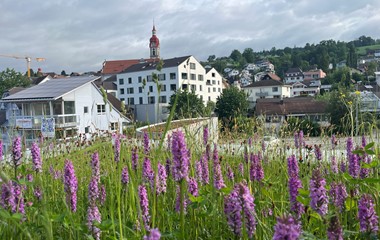 Natur pur beim Wohnzentrum Schlossmatte in Ruswil | Verena Zurkirchen, Ruswil