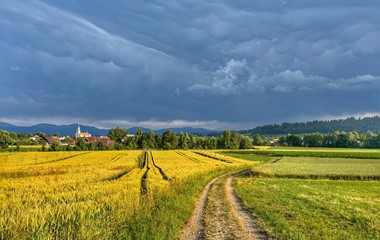 Gewitterstimmung über Grosswangen | Florian Meyer, Grosswangen