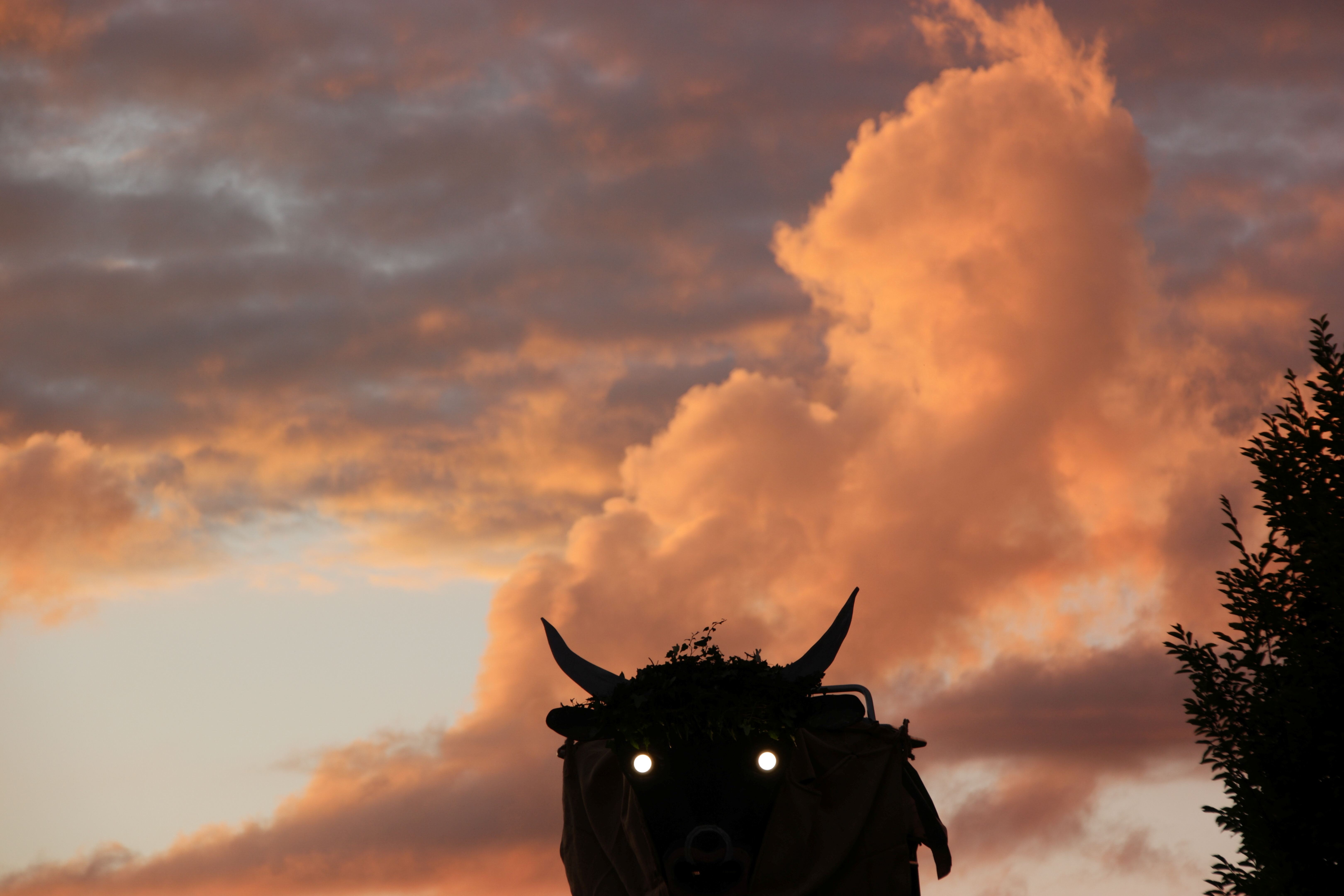 Auch das ESAF-Public-Viewing im Meierhöfli in Ruswil hatte einen grossen, bösen Stier. | J. Kurmann, Ruswil.