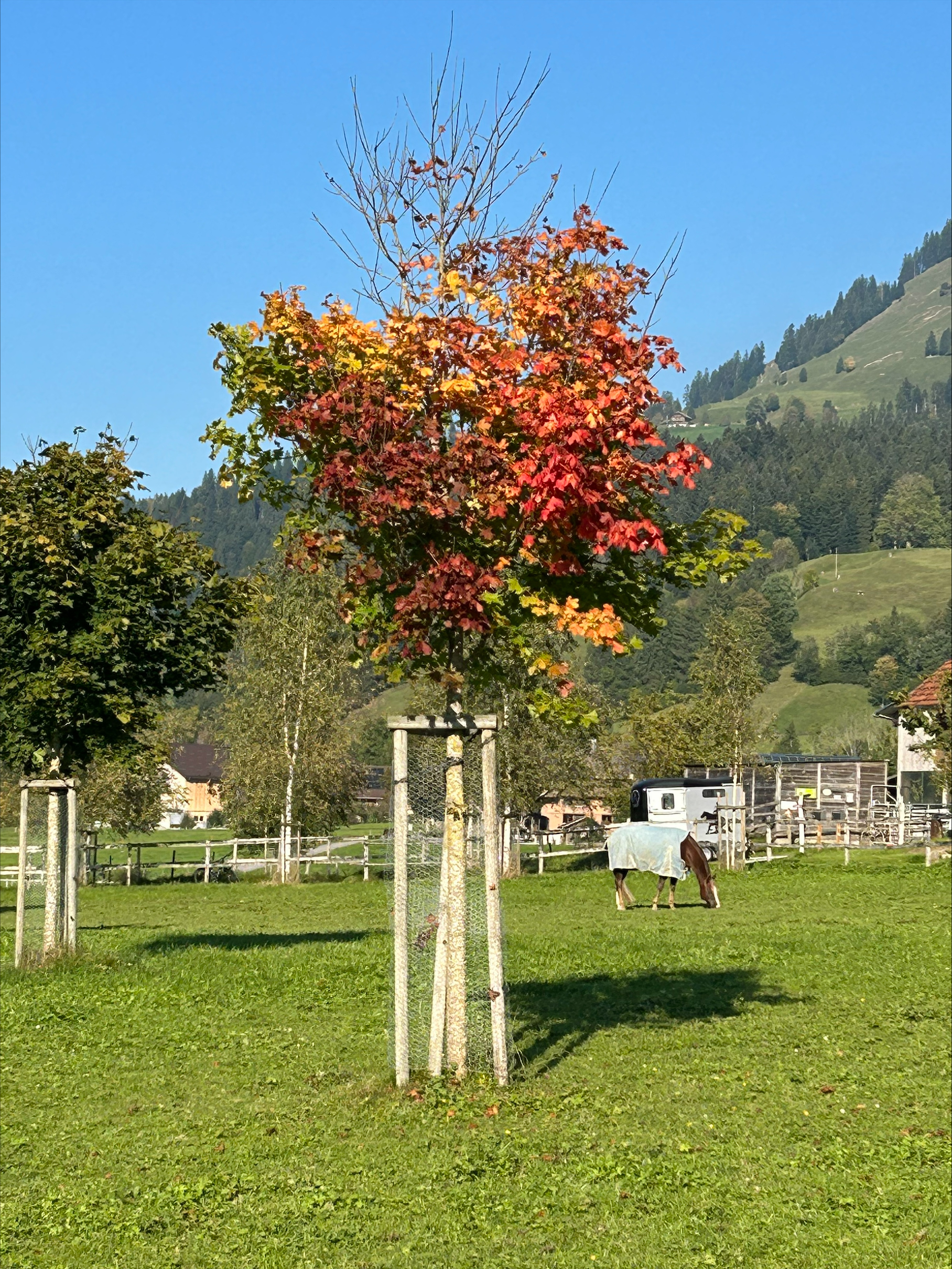  Der Herbst macht sich bemerkbar.   | Foto Lukas Burri, Werthenstein