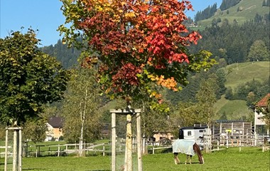  Der Herbst macht sich bemerkbar.   | Foto Lukas Burri, Werthenstein