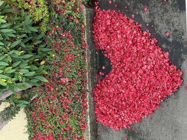 Auch der Herbst kann herzhaft sein.  | Hans Felder, Ruswil 