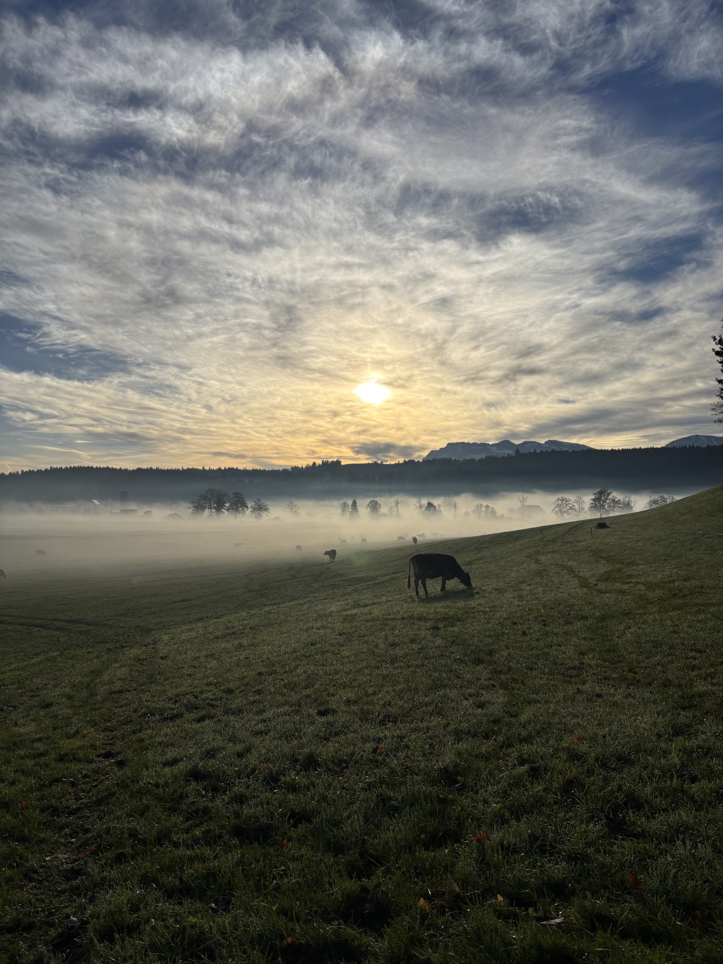 Morgenstimmung beim Ruswiler Hof Tan | Maurin Koch, Werthenstein