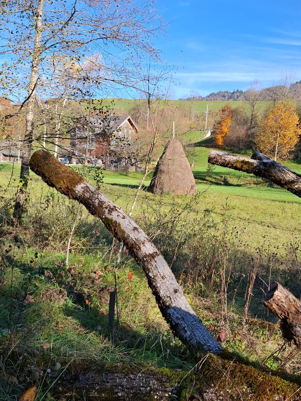 Eine Heustriste für den Futtervorrat im Winter.  | Emilie Koller, Grosswangen 