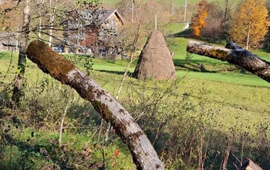 Eine Heustriste für den Futtervorrat im Winter.  | Emilie Koller, Grosswangen 