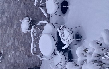 (K)ein Platz zum Verweilen, aber winterlich schön! | Rita Kränzlin-Schwegler, Werthenstein