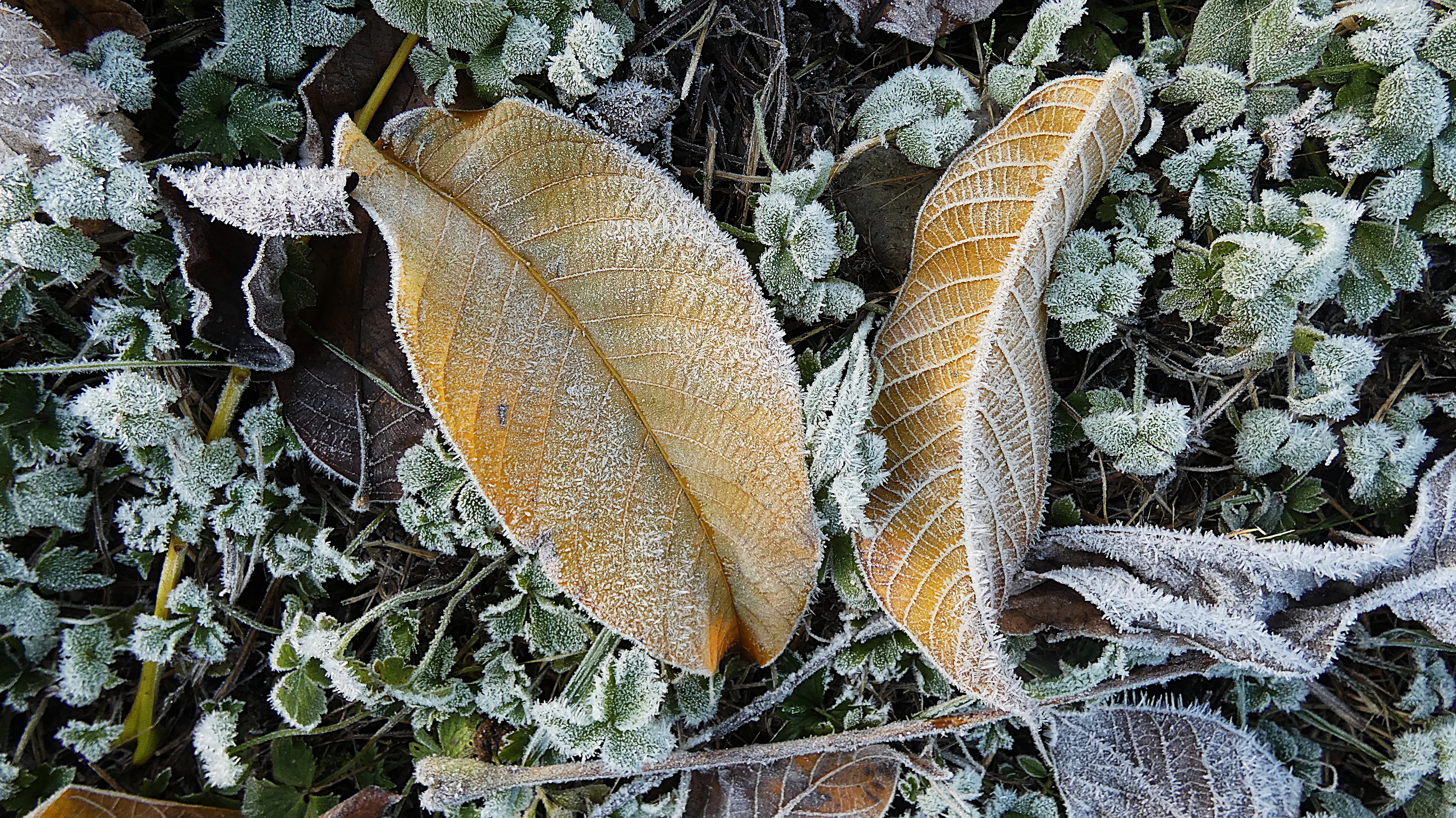 ...ganz schön frostig... | Josef Lustenberger, Wolhusen