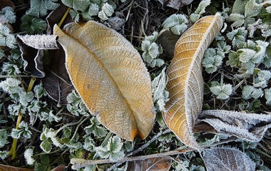 ...ganz schön frostig... | Josef Lustenberger, Wolhusen