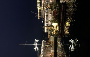 Frohe Weihnachten und ein gutes, erfolgreiches neues Jahr 2026. | Sabine Ittig 