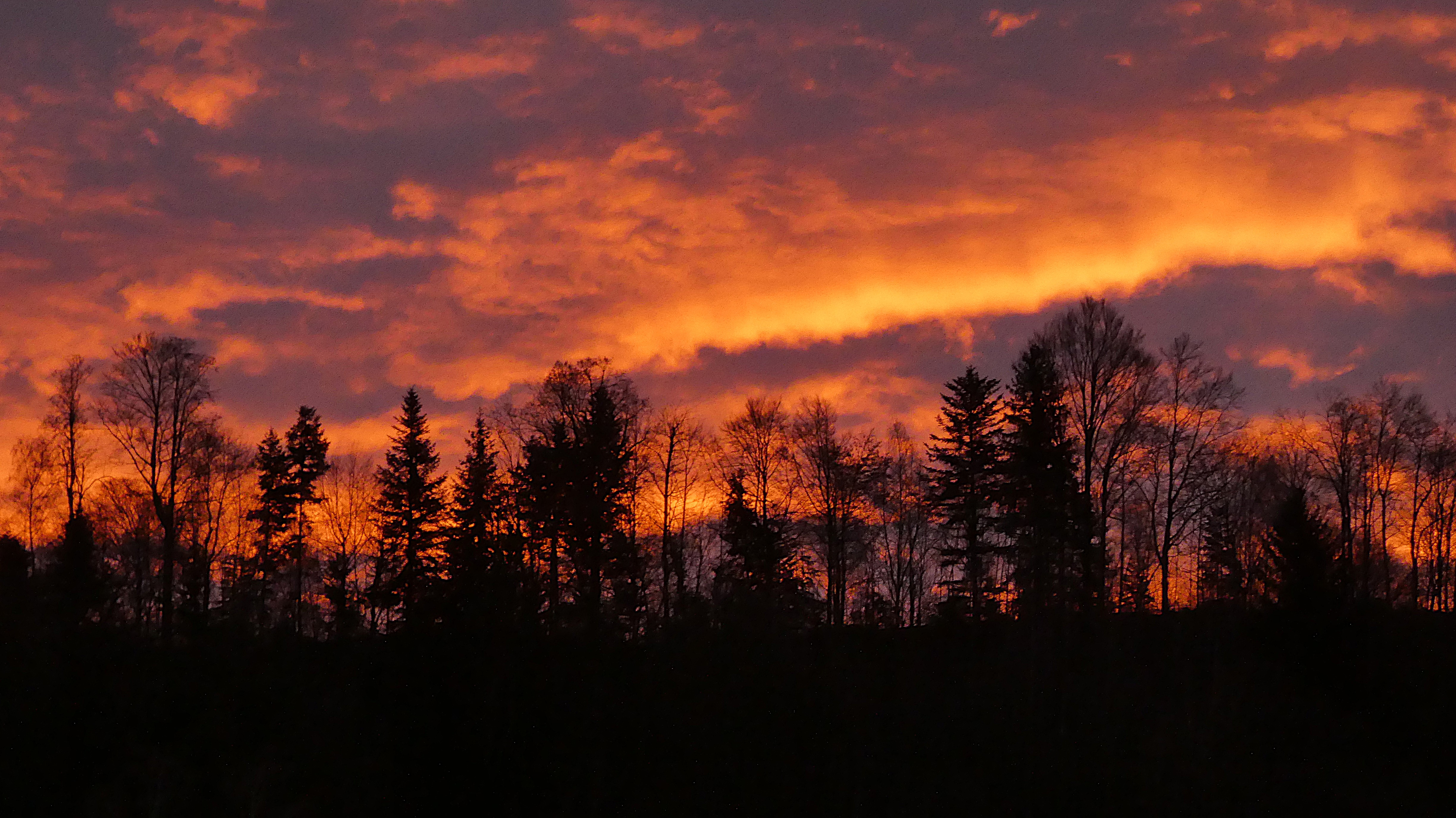 Weihnächtliche Stimmung am Morgenhimmel | Josef Lustenberger, Wolhusen