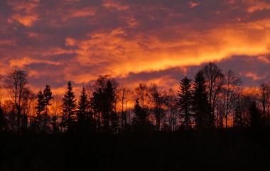 Weihnächtliche Stimmung am Morgenhimmel | Josef Lustenberger, Wolhusen