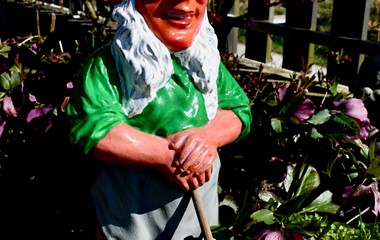 Erster Gartenzwerg an der Frühlingssonne | Toni Koller, Grosswangen 