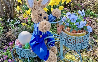 Der Osterhase ist mit dem Velo im Anmarsch | Emilie Koller, Grosswangen 