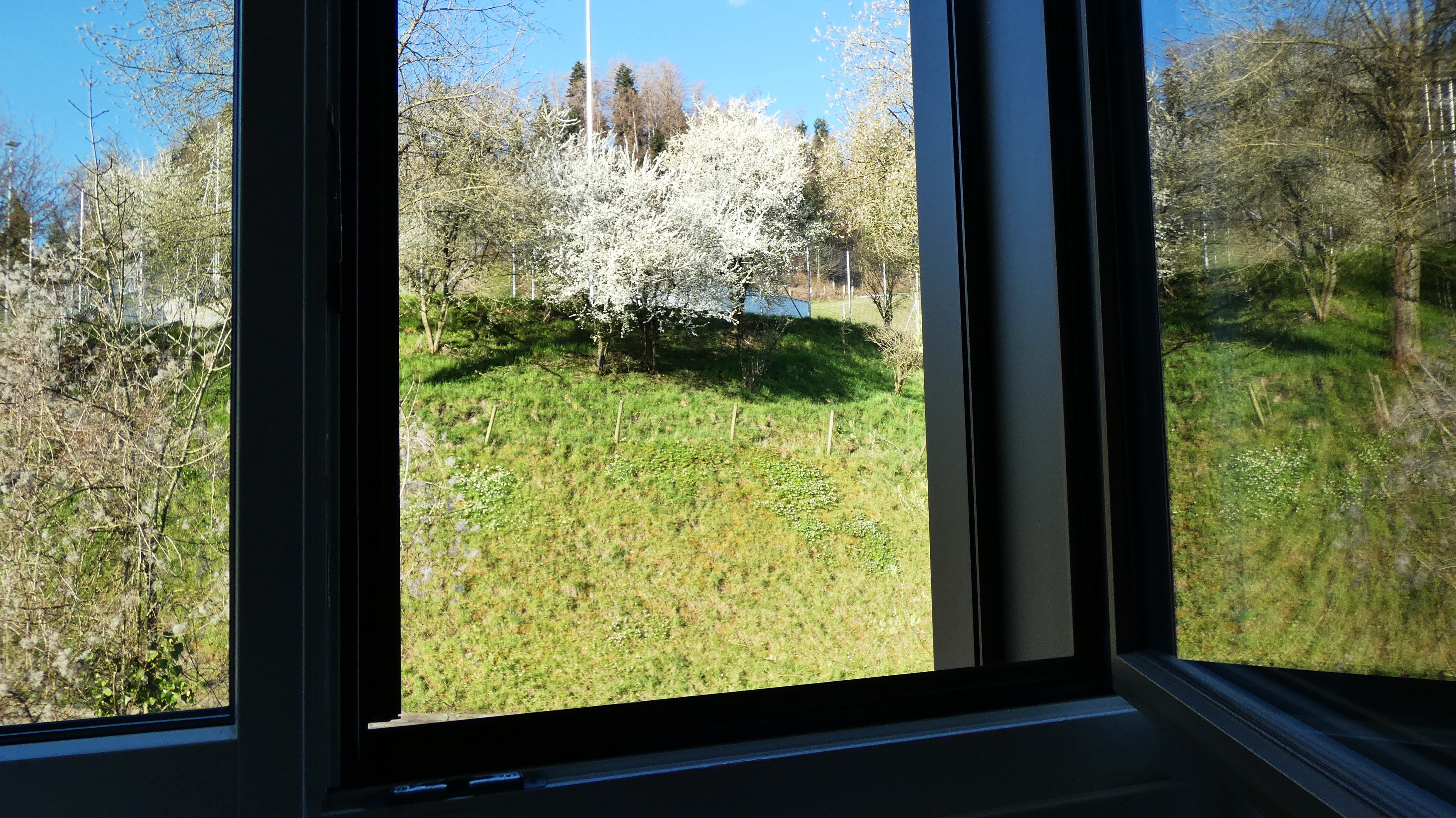 Ein Blick durchs offene Fenster lohnt sich. | Foto Josef Lustenberger, Wolhusen