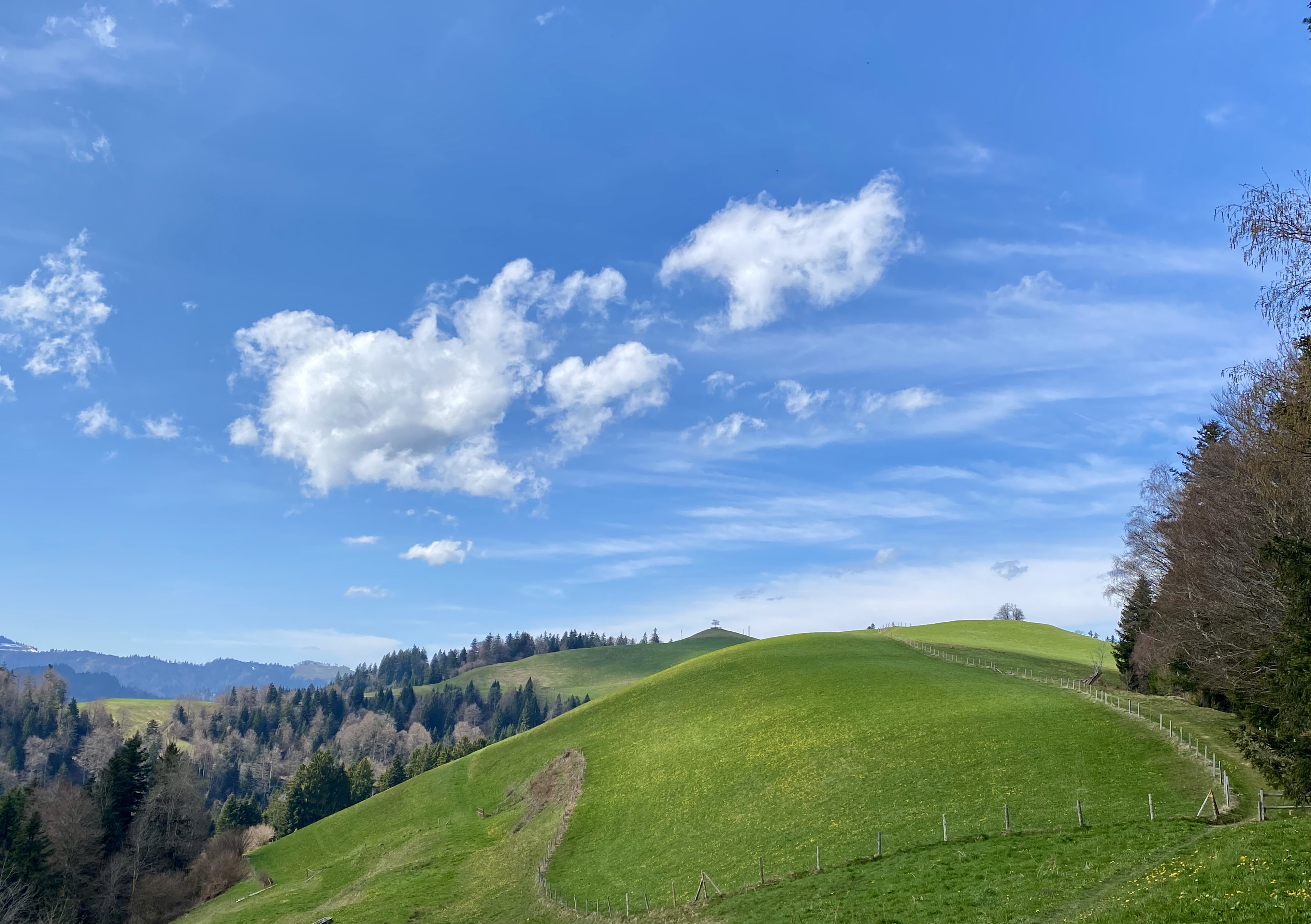 Von Menzberg zum Oberlehnhoger | Roland & Antonia Erni-Schmidlin, Ruswil