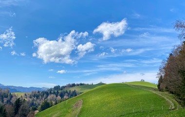 Von Menzberg zum Oberlehnhoger | Roland & Antonia Erni-Schmidlin, Ruswil