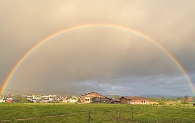 Schöner Regenbogen über Grosswangen | Elias Birrer, Grosswangen