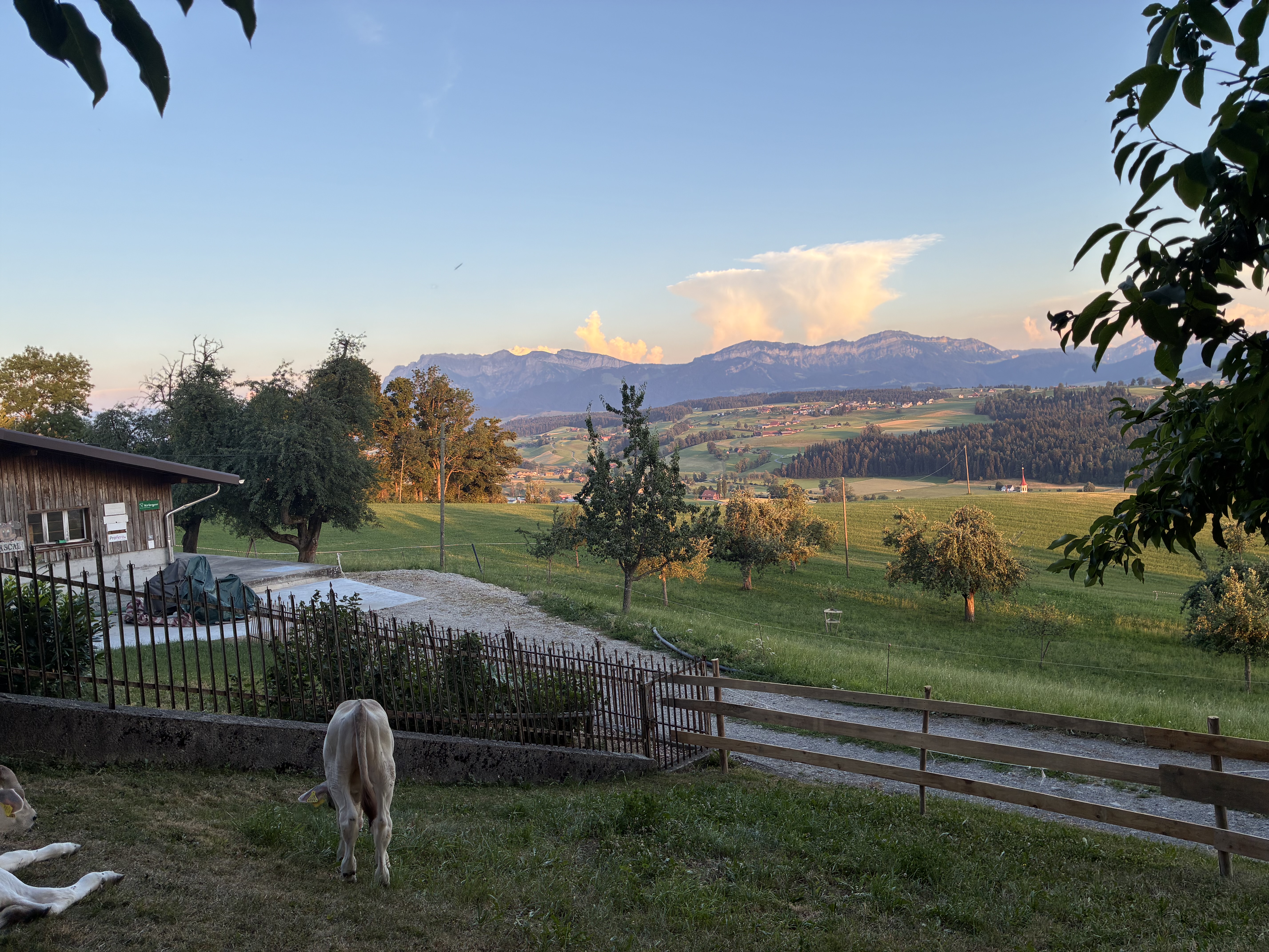 Spezielle Wolkenstimmung | Sabrina Vogel-Hermann, Ruswil