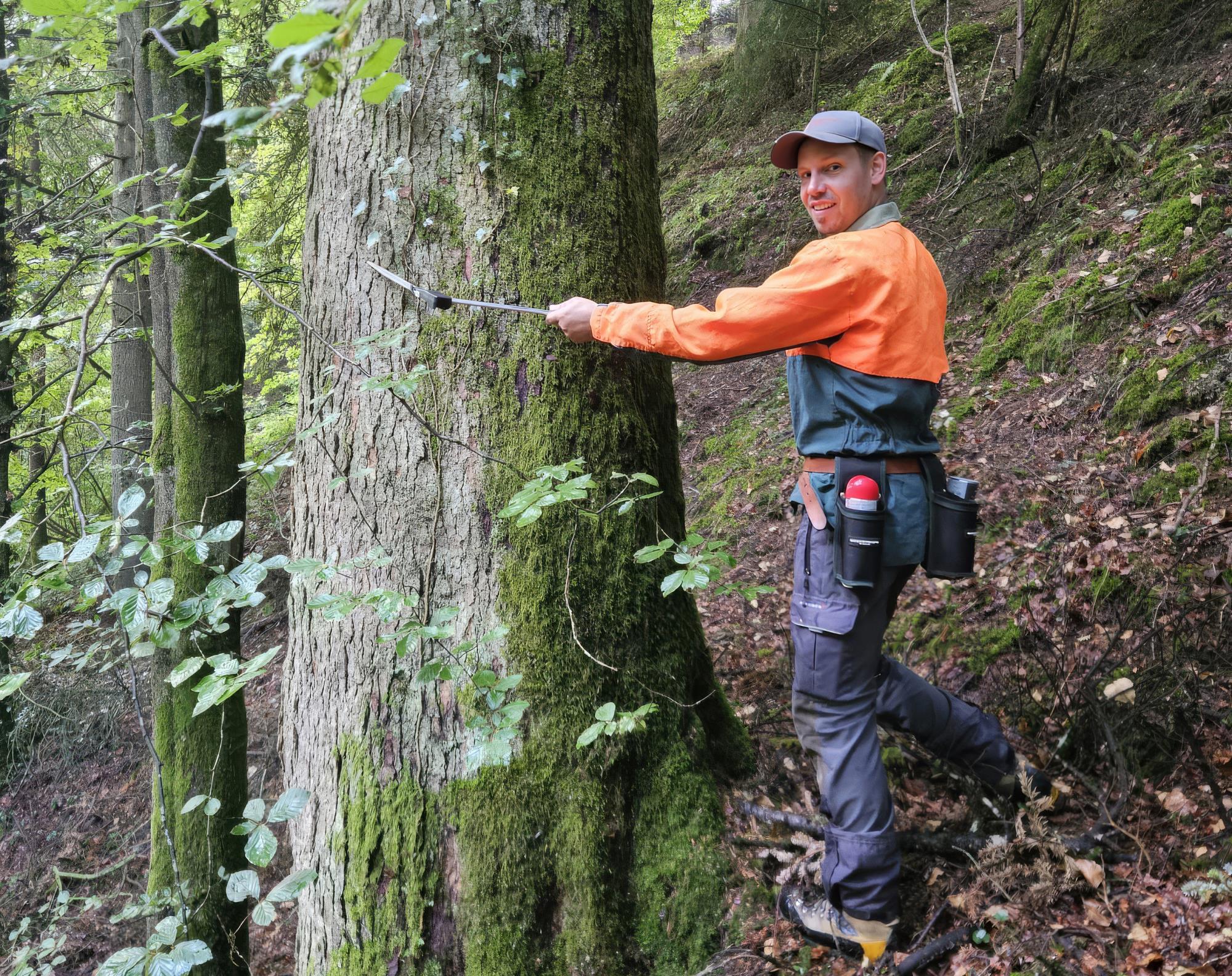 Förster Stefan Hüsler war schon als kleiber Bub immer gerne im Wald. Foto Roland Meyer