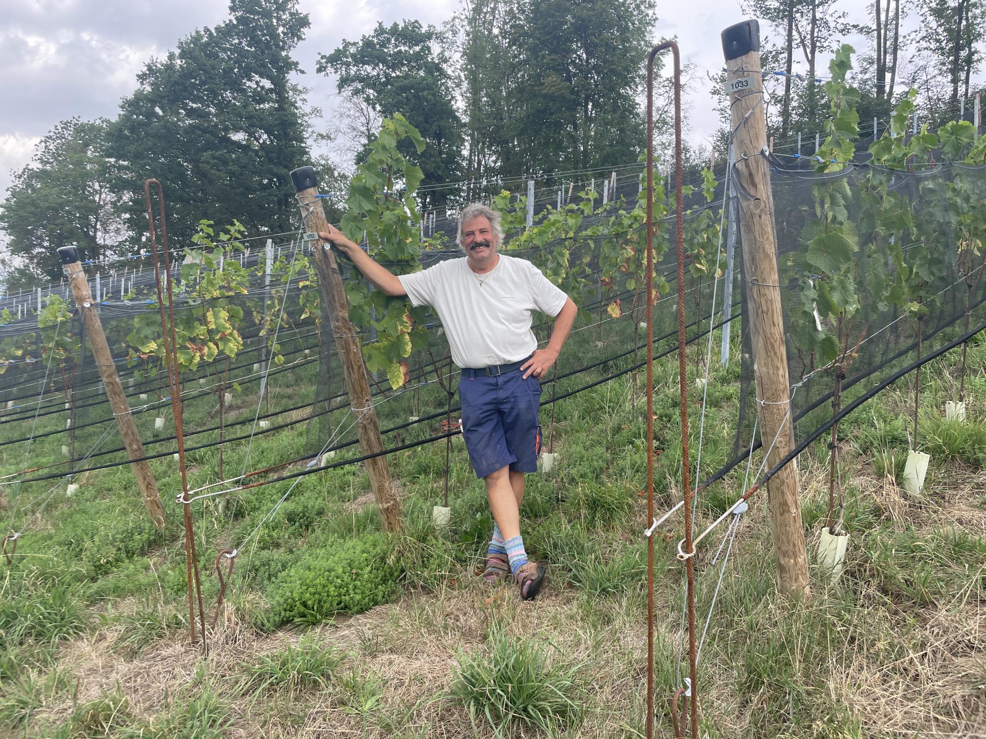 Beat Wolf in seinem Weinberg: «Dass es in unseren Breitengraden zu wenig Sonne für Wein gibt, stimmt definitiv nicht.»  Fotos Stefan Schmid