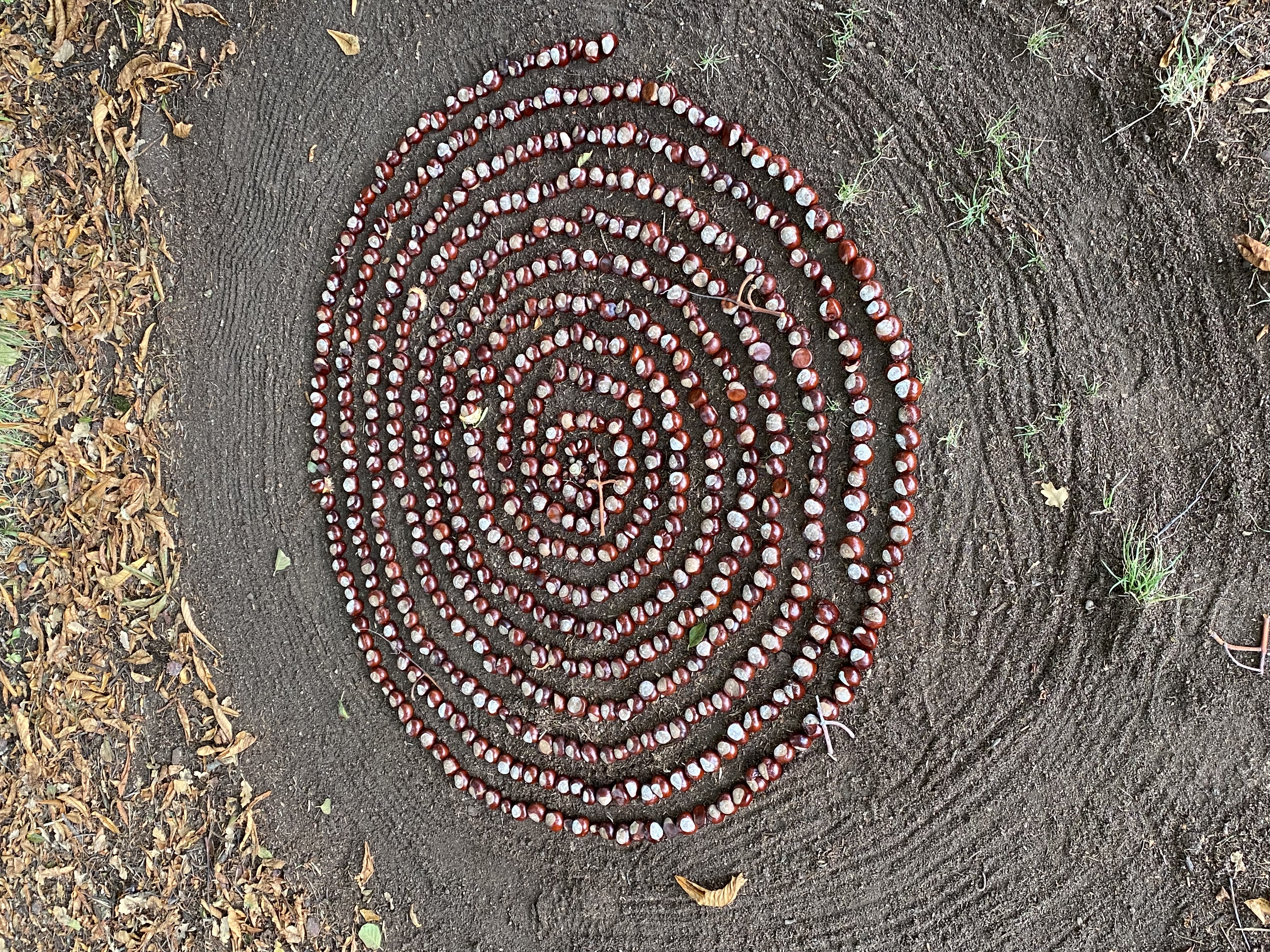 Dieses wunderschöne Kastanienkunstwerk hat unsere Leserin in Mauensee entdeckt. | Antonia Erni-Schmidlin, Ruswil