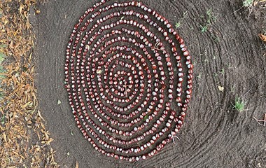 Dieses wunderschöne Kastanienkunstwerk hat unsere Leserin in Mauensee entdeckt. | Antonia Erni-Schmidlin, Ruswil