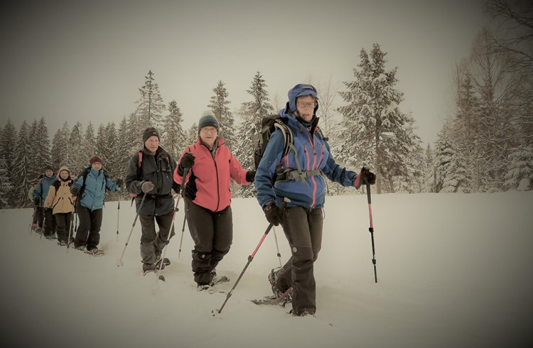 Die erste Schneeschuhtour des Bergwandern 60+ Ruswil führte von Finsterwald über Mittlishütten nach Gfellen. Foto Jean Marbacher