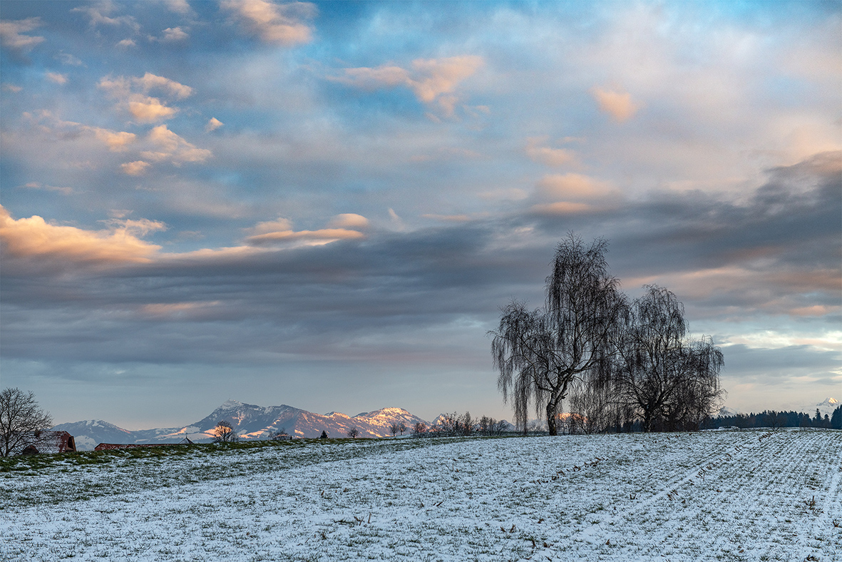 Alpenglühen | Stefan Dubach, Ruswil