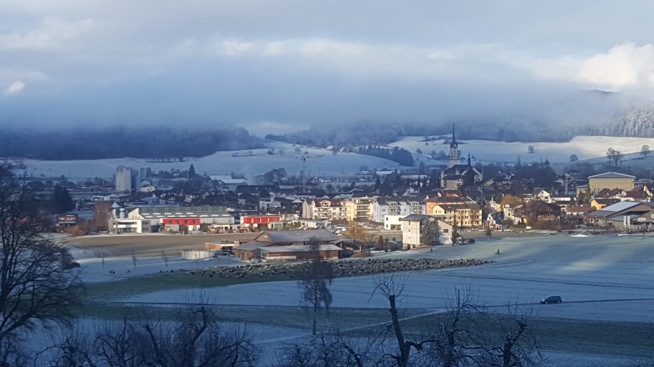 Der Schafhirt macht mit seinen Tieren in Grosswangen halt.  | Manuela Kappeler, Grosswangen