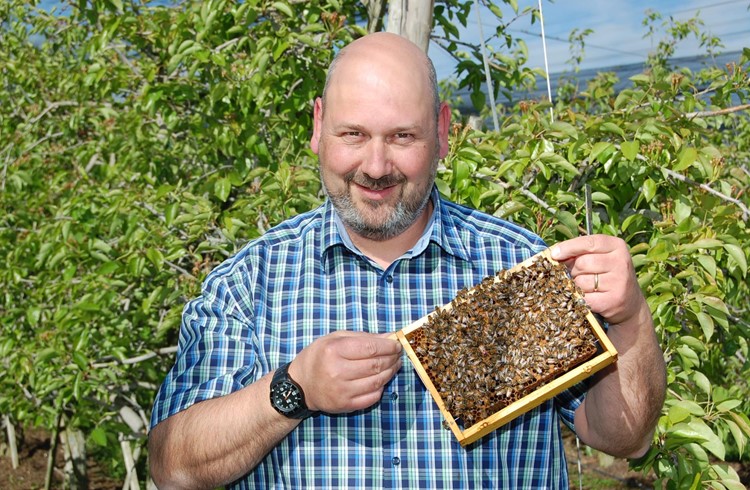Hubert Trüssel ist passionierter Imker und weiss wie mit den Bienen umzugehen ist. Foto Willi Rölli
