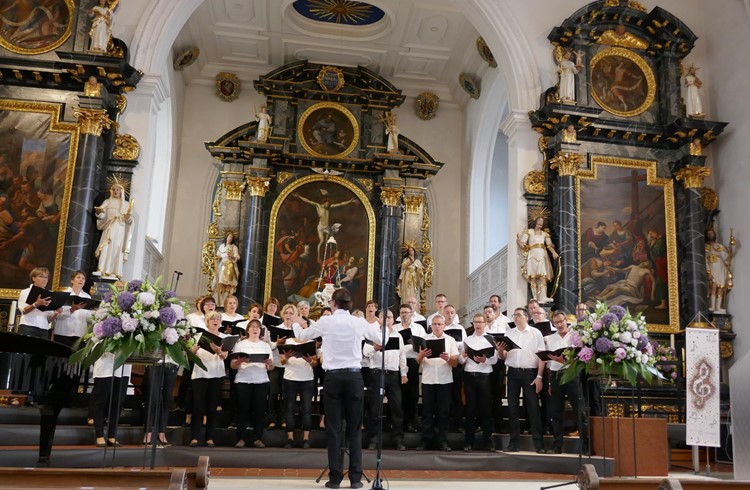 Der Chor Canto Insieme wurde bei seinem Auftritt in Hitzkirch mit dem Prädikat «vorzüglich» belohnt. Foto zVg