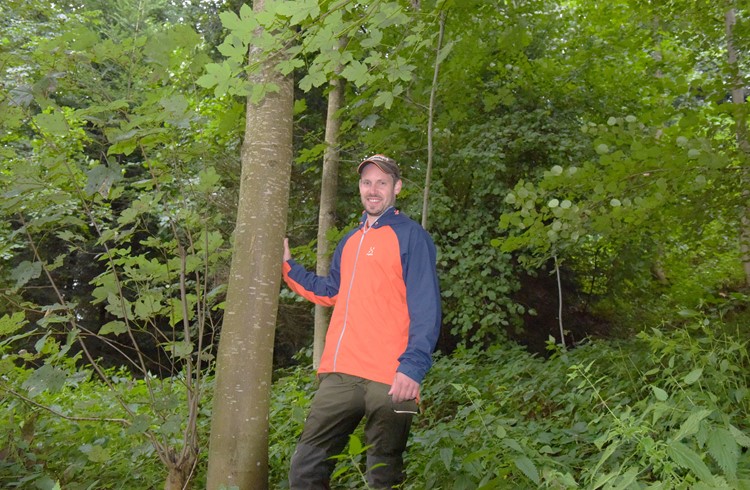 Stefan Hüsler, hier im Soppisee-Wald in Buttisholz, hat sein Amt am 1. Juli 2019 angetreten. Foto Michael Wyss