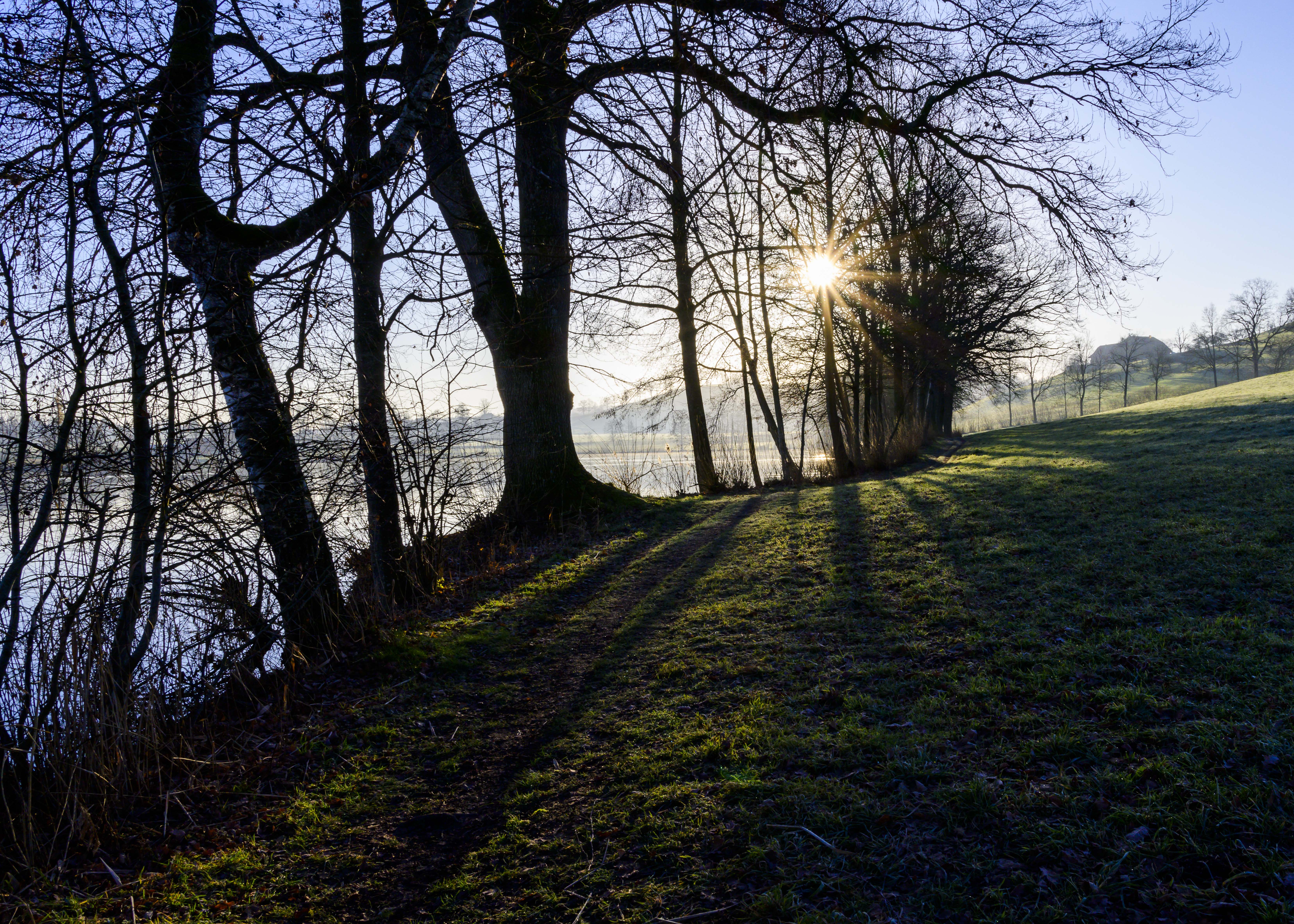 Morgenstimmung am Soppensee | Regula Brunner-Roos, Werthenstein
