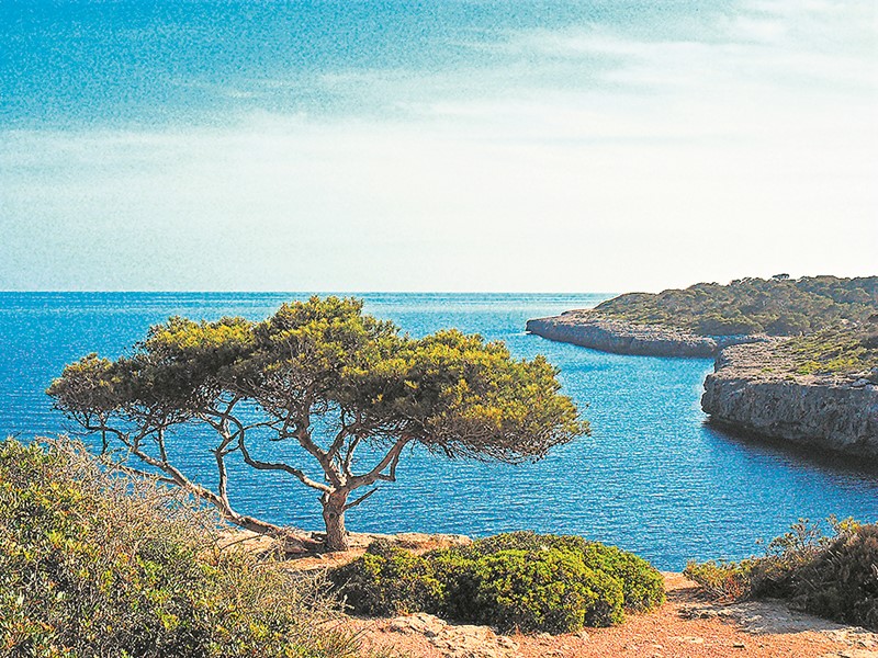 Leserreisen | Buonas Dias Mallorca - die Perle des Mittelmeers